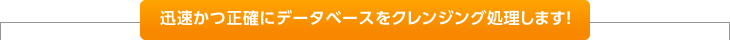 迅速かつ正確にデータベースをクレンジング処理します！